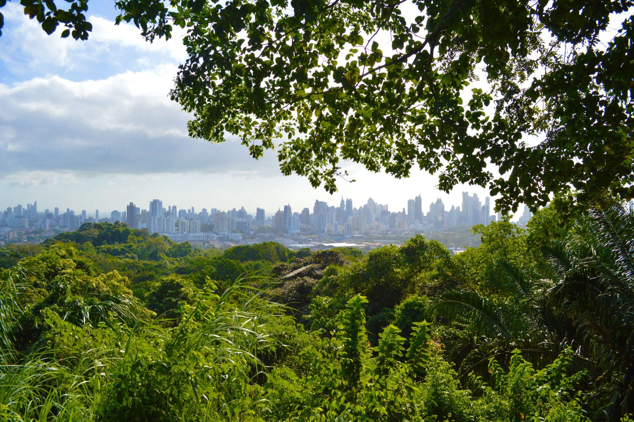 Uitzicht Metropolitan National Park op de skyline van Panama City