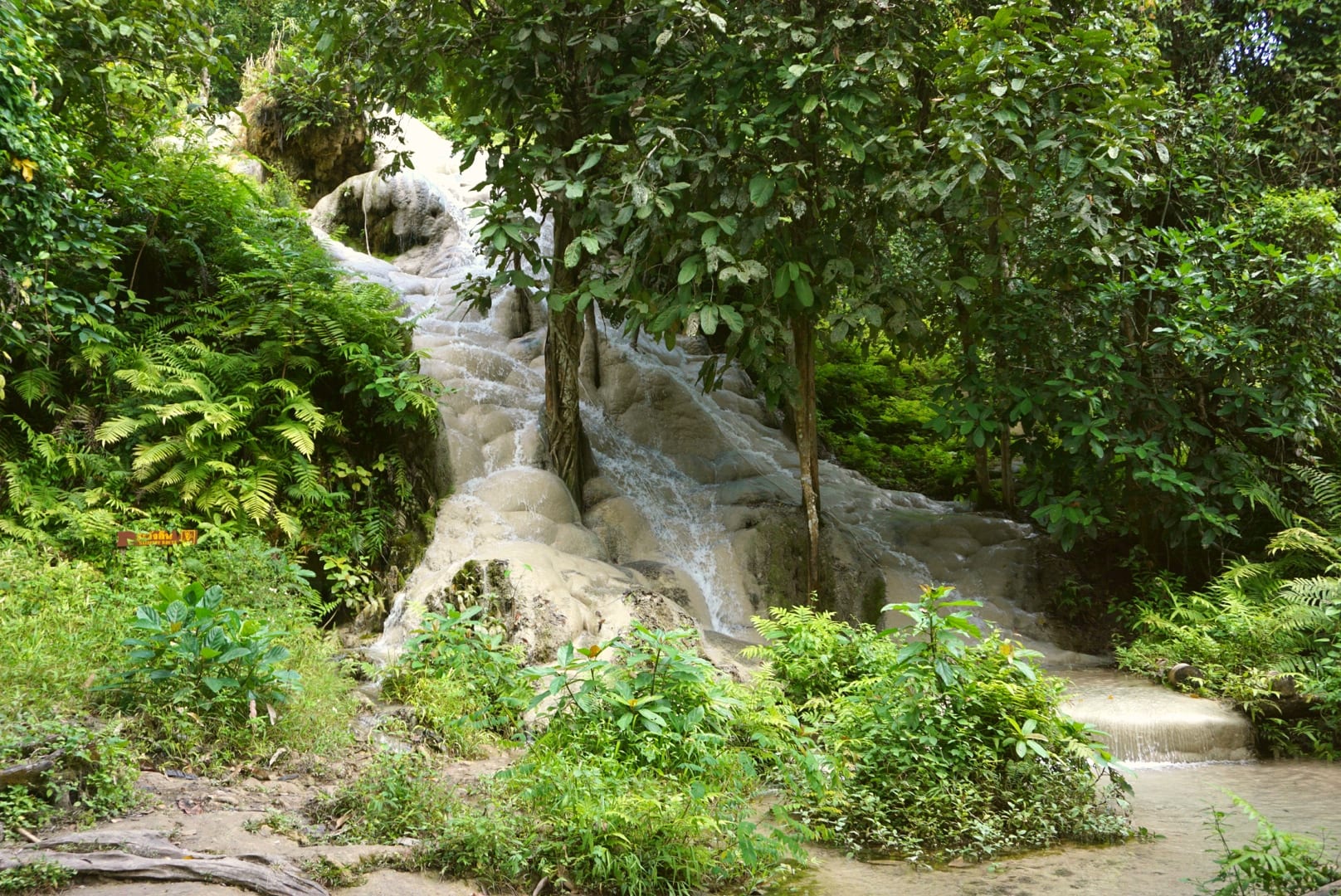 Bua Thong Sticky Waterval vlakbij Chiang Mai