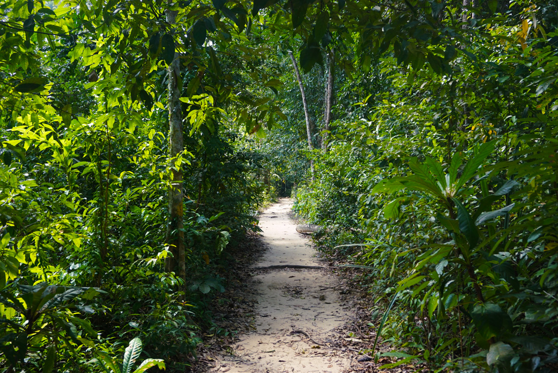 Jungle Pad Koh Rong Samloem