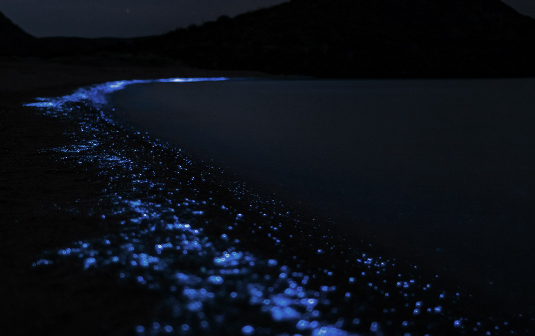 Lichtgevend plankton Cambodja