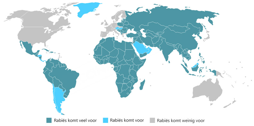 WHO 2008 Rabiës wereldkaart