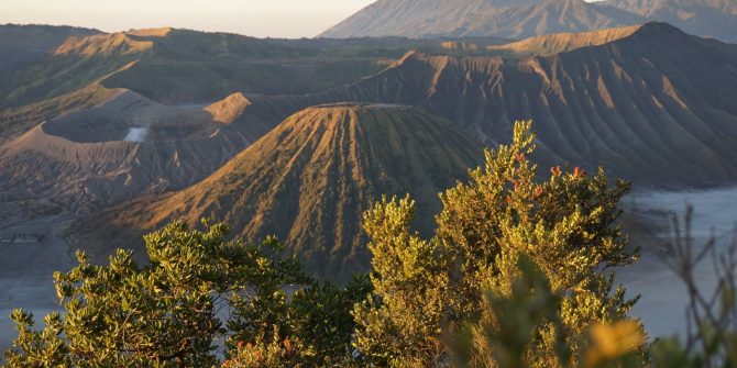 Bromo viewpoint