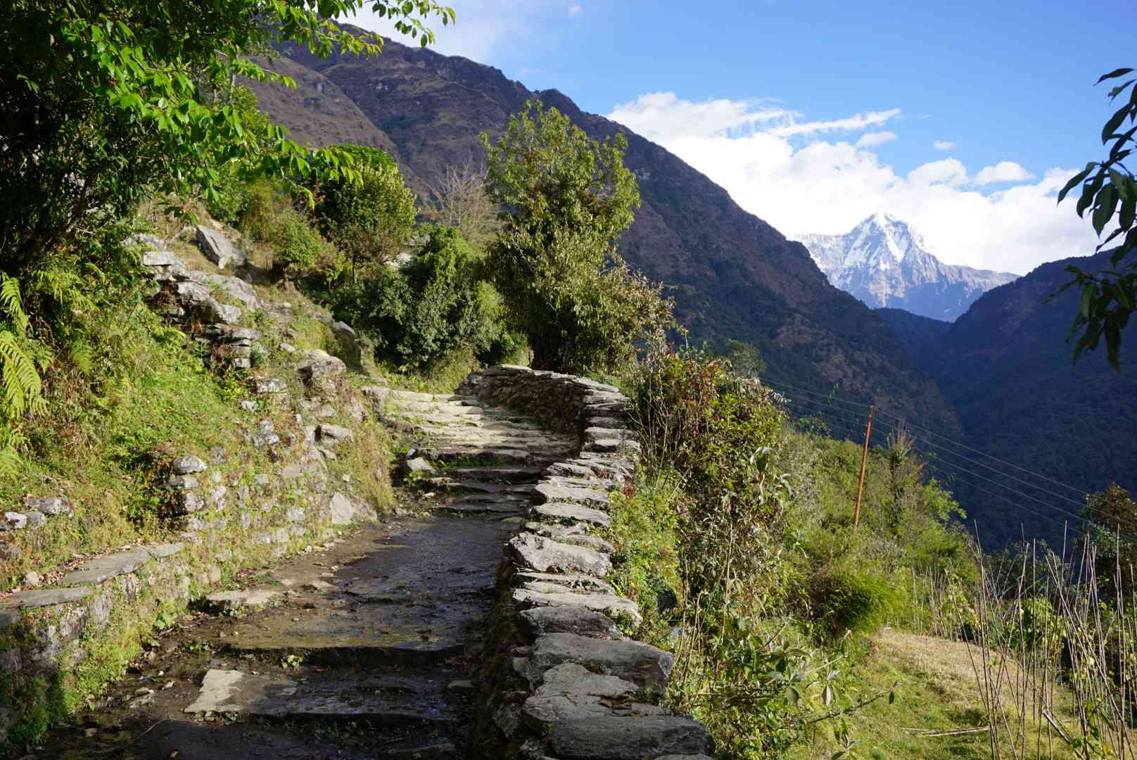 Poon Hill Trekking Nepal – Route en Tips