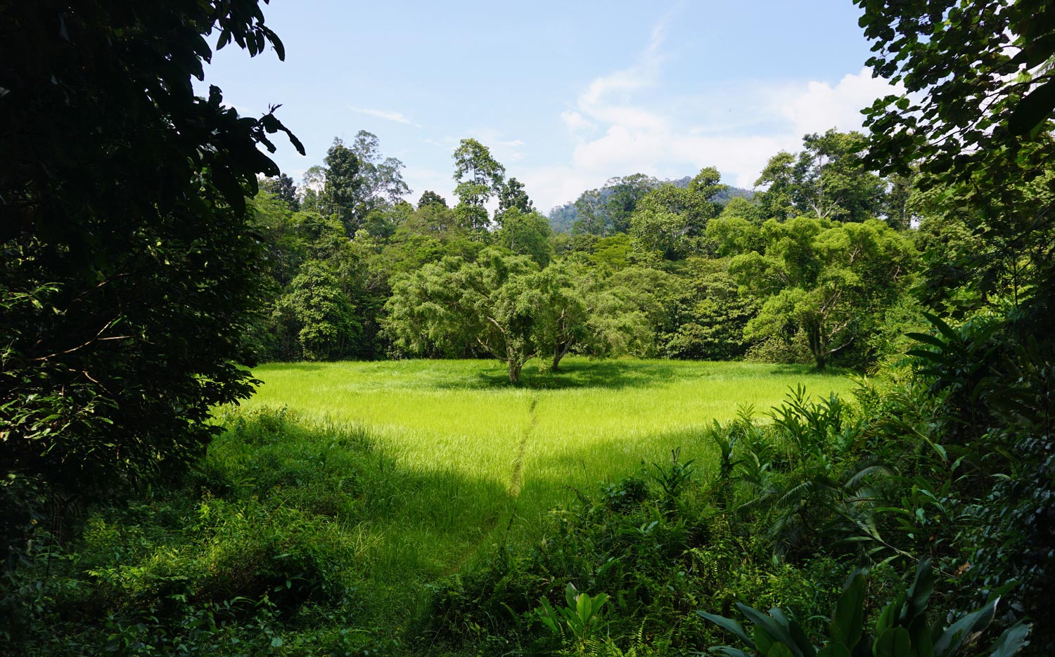 Taman-Negara-Maleisië