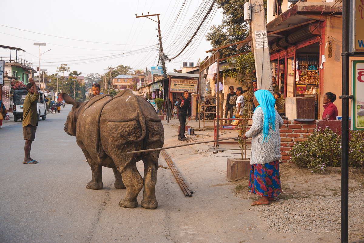 lady and rhino in Nepal