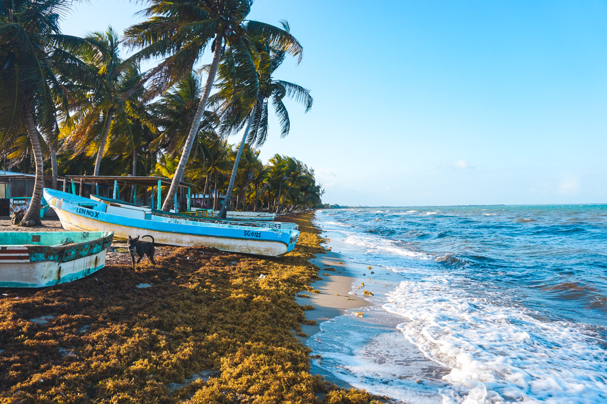 Belize, Hopkins: Tips and experiences for travelers