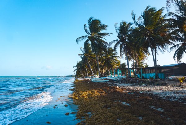 Hopkins Beach Belize