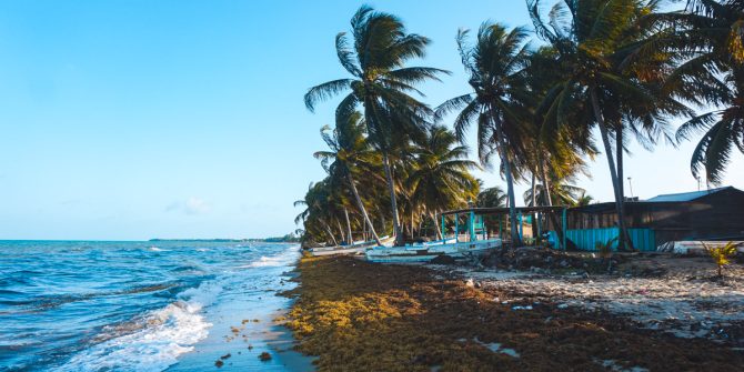 Hopkins Beach Belize