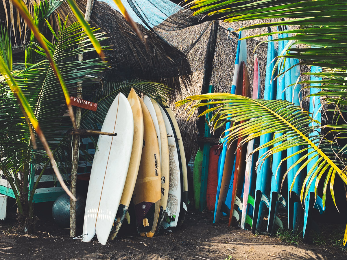 El Paredon surfboards