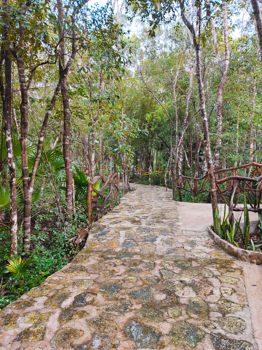 Cenote Cristal Jungle Tulum